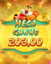5566bet